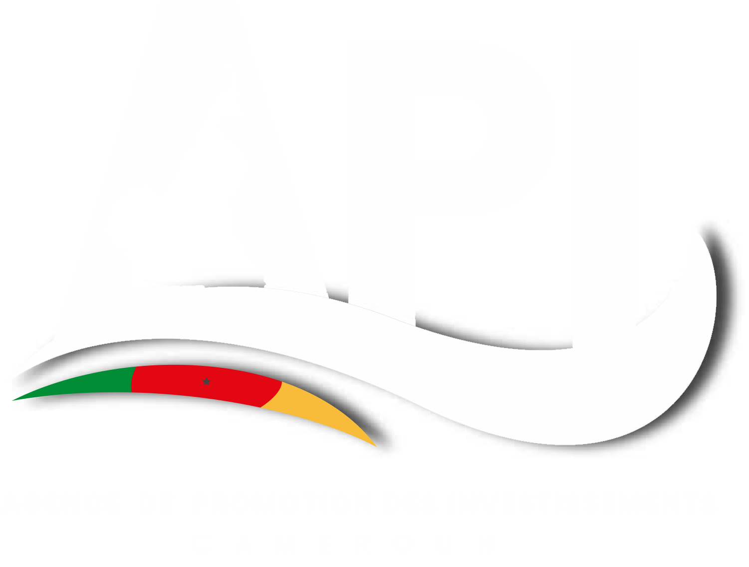 Logo API Cameroun